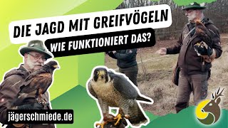 Die Falknerei und Beizjagd - Mach dich fit für die Jagdprüfung!  *Praktischer Jagdbetrieb*