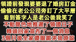 領證前發現婆婆退了婚房訂金！偷偷在老公公司旁訂了大平層！看到簽字人是老公後我笑了！不動聲色地推遲了領證日子！轉頭回家宣布了一個消息！3個月後全家傻眼跪求我原諒！#落日溫情#為人處世#生活經驗#情感故事