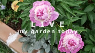 5월의 정원 라이브 garden LIVE tour