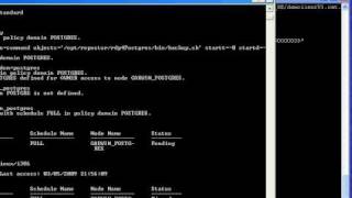 rdp4Postgres client 3