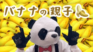 【童謡ダンス】バナナの親子【踊って！クリ坊さん】