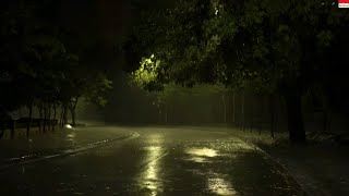 The soft rain falls on the quiet road outside🌧 Fall asleep in 10 minutes+for study+for stress relief