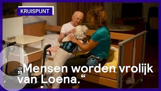 Aaibare zorg: honden bieden ouderen troost  | Kruispunt