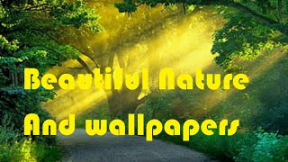 Beautiful Nature \u0026Wallpapers 💚💚♥️♥️♥️😍😍😍