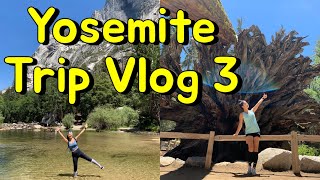 [Travel🇺🇸] Yosemite 요세미티 국립공원 3🌲 I 꼭 봐야할 포인트⛰ I 하이킹코스🥾 I 숙박🏕 I 로드트립🚘