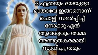 വിശ്വാസത്തോടെ 3 എത്രയും ദയയുള്ള മാതാവേ ഇങ്ങനെ ചൊല്ലിയാൽ മതി അമ്മ അത്ഭുതം പ്രെവർത്തിച്ചിരിക്കും/