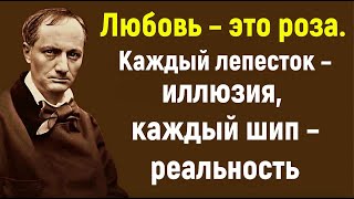 Точные, сильные высказывания о любви и верности. Мудрые слова. Цитаты