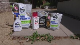 Portland bans synthetic pesticides