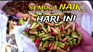 semoga semakin naik harga cengkeh terbaru April 2024