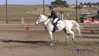 284S Andrea Baxter on Bandero Open Beginner Novice Show Jumping Twin Rivers Ranch Feb. 2021