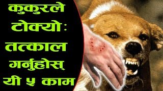 कुकुरले टोक्यो भने तत्काल गर्नुहोस् यी ५ काम ! Dog Bites