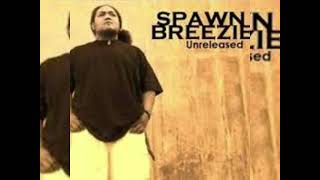 Spawnbreezie - Fangai lupe Sped up version