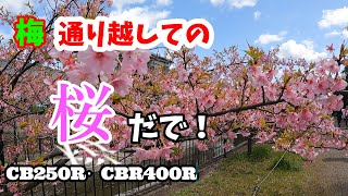 どノーマル車にこだわる妻【初心者女子ライダー】と桜を見に行ってみた！