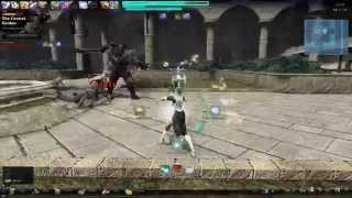 Vindictus: Staff Evie Ingkells Solo