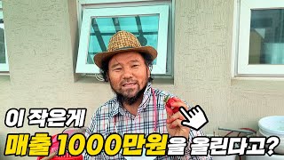 [류지봉의 지봉유설] 제9회 6월 끝물 딸기로 매출 1,000만원 올리는 비법 공개