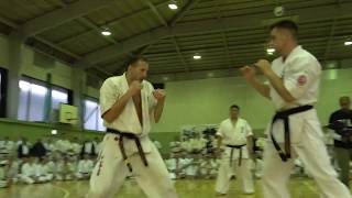 【新極真会】Dan Grading Test Donatas Imbras SHINKYOKUSHINKAI KARATE