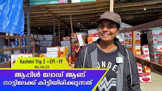 ആപ്പിൾ ലോഡ് കയറ്റാൻ  പുൽവാമയിൽ | EPI 19 | Kashmir Trip 2(Jammu \u0026 Kashmir) | Jelaja Ratheesh |