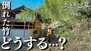 [What to do!?] Bamboo fallen due to snow directly hits our house...!｜Rural Japan 085