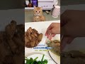 猫咪的疑惑行为，开饭时猫咪总会第一个到达，网友：充满了智慧的眼神！