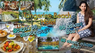 අද යමුද මාත් එක්ක ට්‍රිප් එකක් 🥰😊🏝️ #beach 😎 #travel #fyp Tangerine Beach Hotel #hotel #review