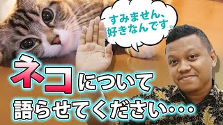 【JLC限定公開】インドネシア語字幕付き！ハリ、猫について語ります。