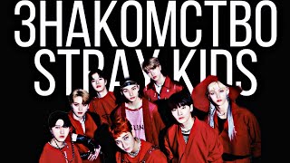 ЗНАКОМСТВО СО STRAY KIDS | 2 ЧАСТЬ (Danceracha, Vocalracha)