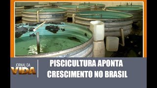 Brasil deverá crescer 104% em pesca e aquicultura, revela ONU - Jornal da Vida - 21/03/18