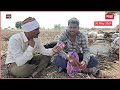 latur drought मेंढपाळांच्या टोळ्यांची रेणापूर तालुक्यात पाण्यासाठी वणवण