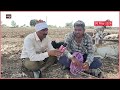 latur drought मेंढपाळांच्या टोळ्यांची रेणापूर तालुक्यात पाण्यासाठी वणवण