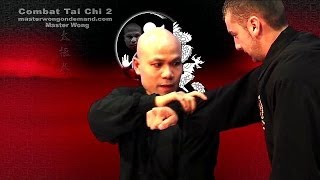 Tai chi combat tai chi chuan fight style use chen tai chi – lesson 17