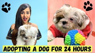 I Adopted a DOG for 24 Hours Challenge *Satisfying and Emotional*