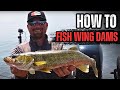 How to fish WING DAMS!