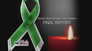 Final report on Sandy Hook due Friday