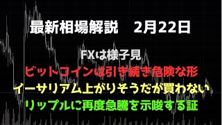 ビットコインは危険な形であり買わない｜リップルは引き続き急騰を想定｜FX、ビットコイン、イーサリアム、リップルの値動きを解説