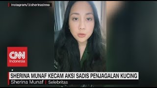 Sherina Munaf Kecam Aksi Sadis Penjagalan Kucing