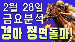 2/28[금] 금요 부산/제주 예상 분석방송! 부산4경주 그리고 부산5경주를 많이 기대하고 있습니다!