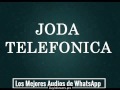 Joda Telefonica - Los Mejores Audios de WhatsApp