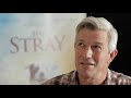 THE STRAY - Director Mitch Davis on Inspiration for 