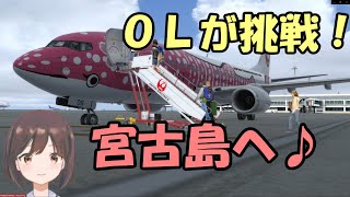 【フライトシミュレーター】 那覇 → 宮古　B737【Flight Simulator】