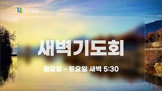 광주동명교회 새벽기도 (LIVE)