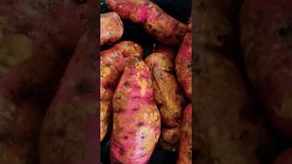 മധുര കിഴങ്ങിന്റെ ആരോഗ്യ ഗുണങ്ങൾ 👍#trending #shorts #sweetpotato #benefits #healthtips #drrajkumar