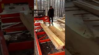 Распиливаем бревно на 4x4 ленточной пилорамой Wood-Mizer LX55 #shorts #пилорама #woodworking