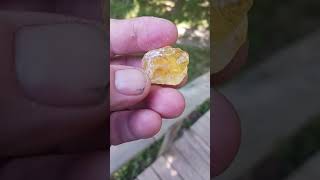 Pure pine rosin for making primitive glue