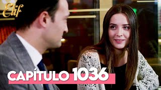 Elif Quinta Temporada Capítulo 1036 | Elif Capítulo 1036