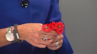 Veterans of Foreign Wars and Ladies Auxiliary to distribute ‘Buddy Poppies’