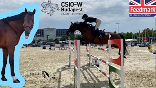 CSIO***-W Díjugrató Világkupa Budapest, Vlog | Kamilla And Me