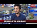 Köpeğin Dip Boyasını Yapan Sayko Petshop Röportaj Adam #8