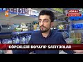 Köpeğin Dip Boyasını Yapan Sayko Petshop Röportaj Adam #8