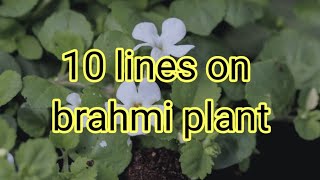 Essay on Brahmi herb // #Brahmiplant #Brahmi