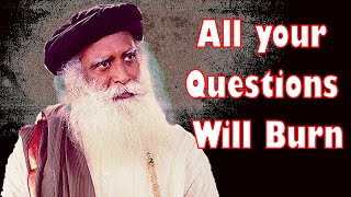 Don’t ever believe that your intellect will know - Sadhguru about Sadhana